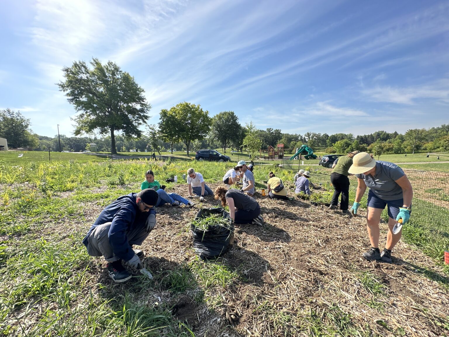 Ever-Green team members volunteering for Metro Blooms to plant native plants in a Saint Paul park